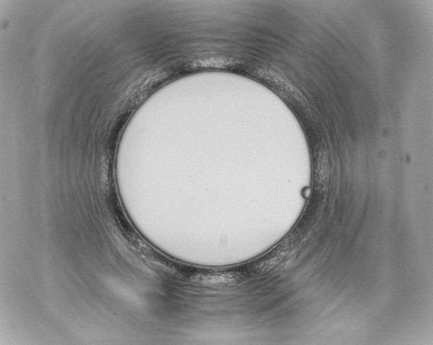 X0000070380639200607072155