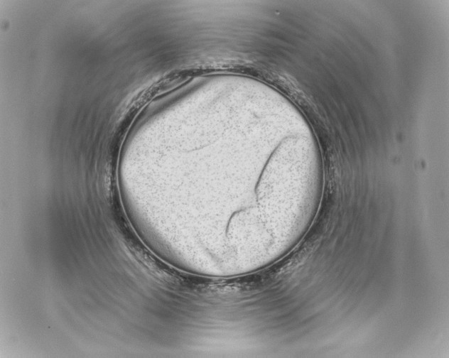 X0000070380640200607072155