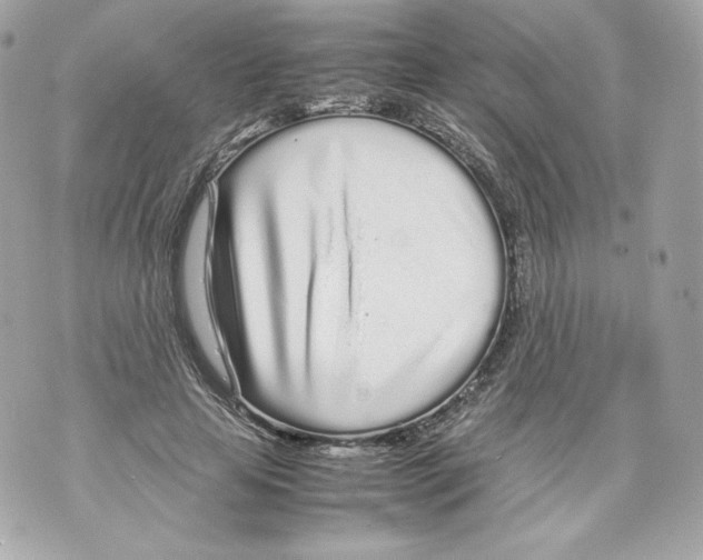 X0000070380641200607072155