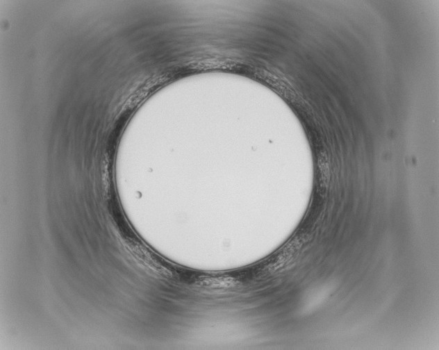 X0000070380642200607072155