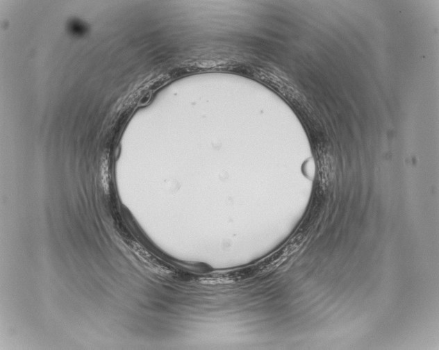 X0000070380644200607072155