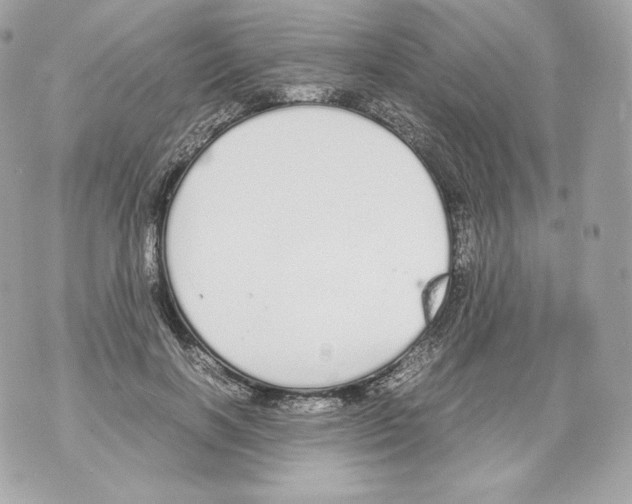 X0000070380646200607072155