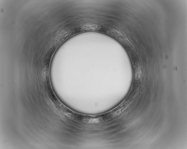 X0000070380647200607072155