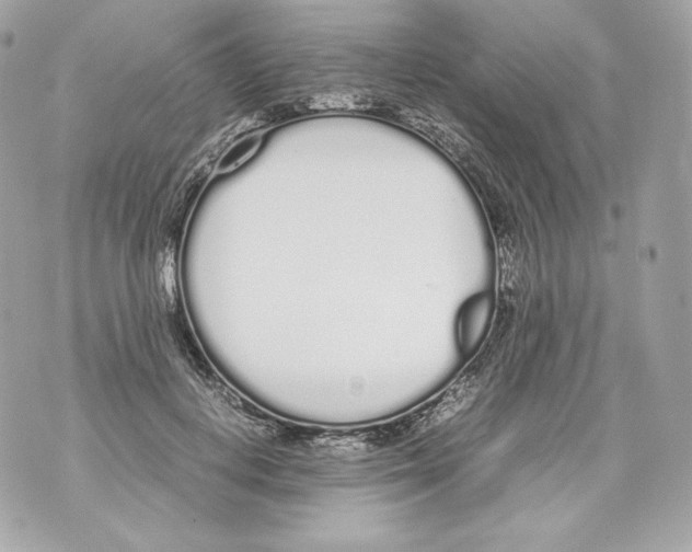 X0000070380648200607072155