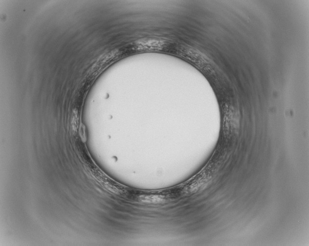 X0000070380649200607072155