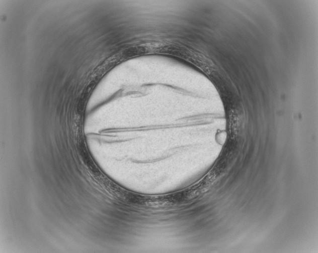 X0000070380650200607072155