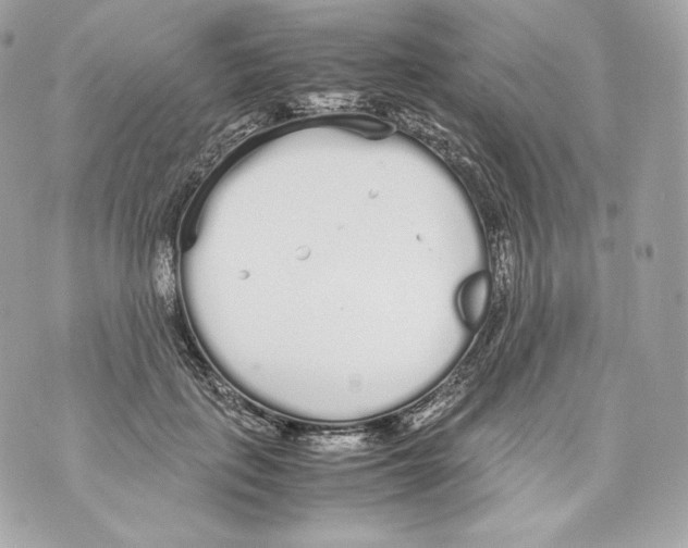 X0000070380651200607072155