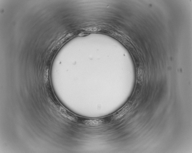 X0000070380652200607072155