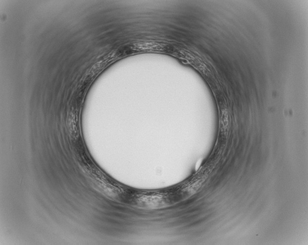 X0000070380653200607072155