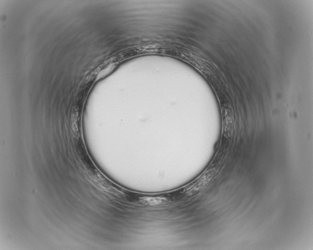 X0000070380654200607072155