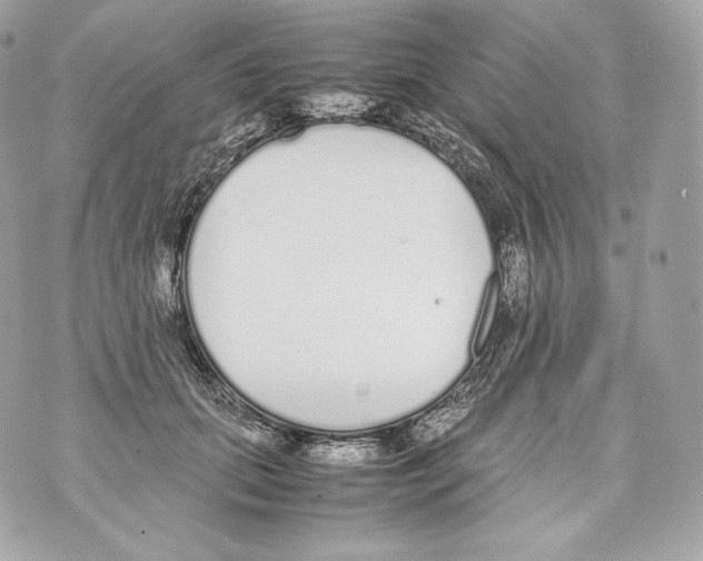 X0000070380655200607072155