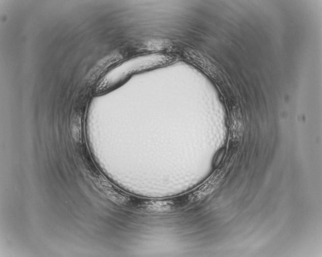 X0000070380656200607072155