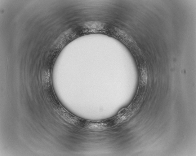 X0000070380657200607072155