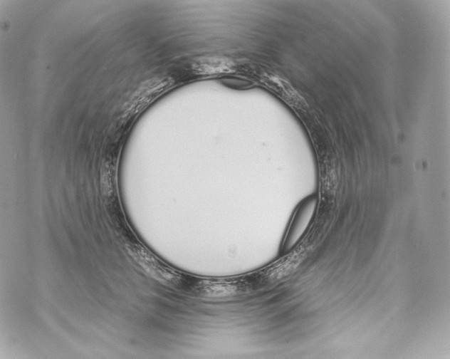 X0000070380658200607072155