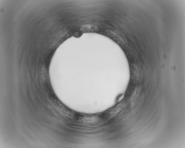 X0000070380659200607072155