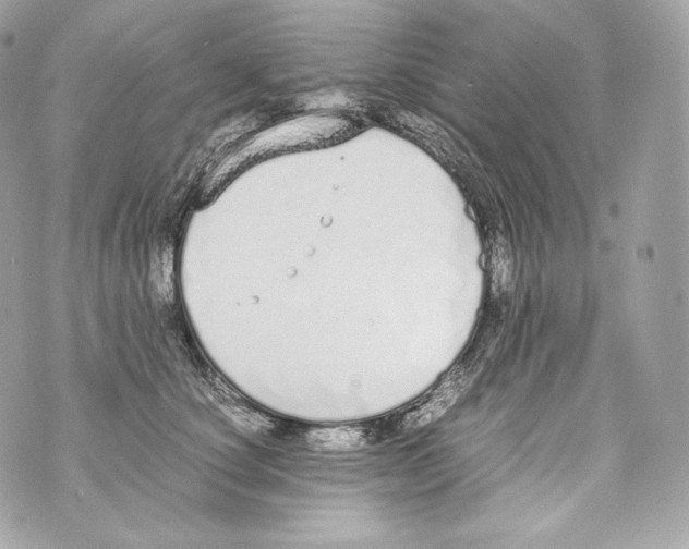 X0000070380660200607072155