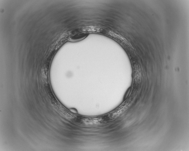 X0000070380661200607072155