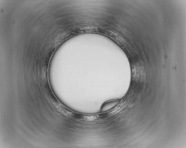 X0000070380662200607072155