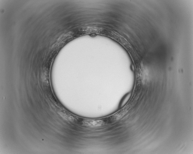 X0000070380663200607072155