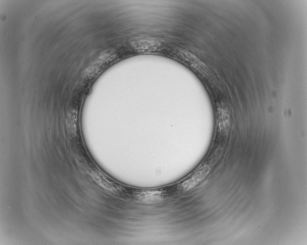 X0000070380664200607072155