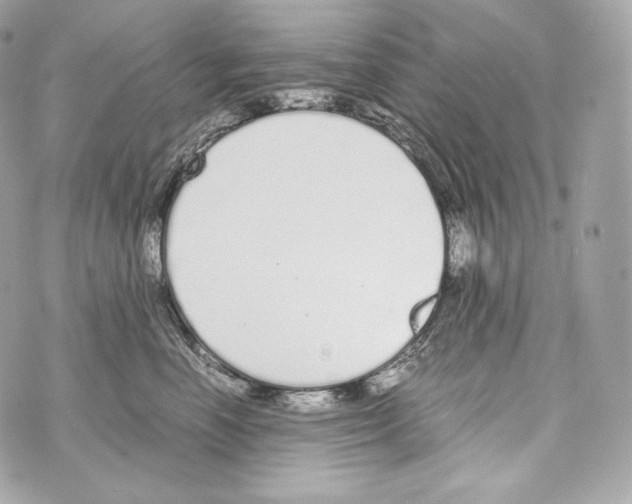 X0000070380666200607072155