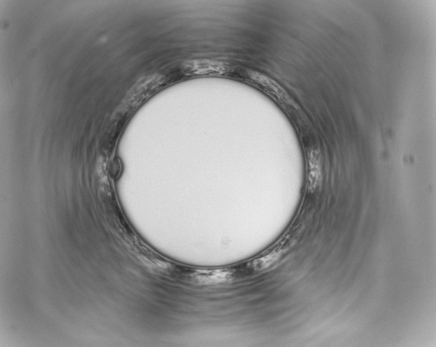 X0000070380667200607072155