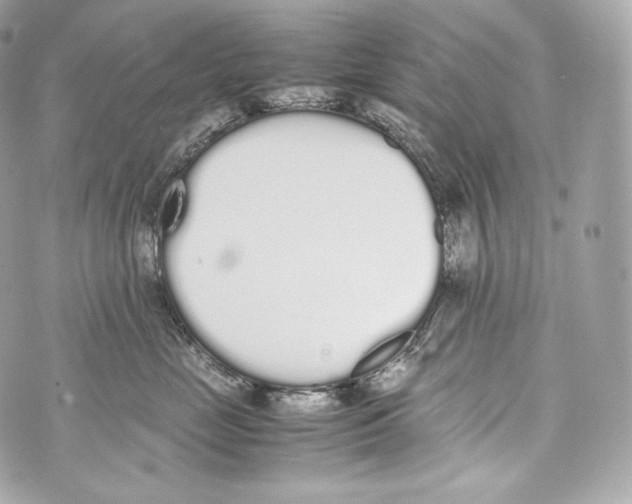 X0000070380669200607072155