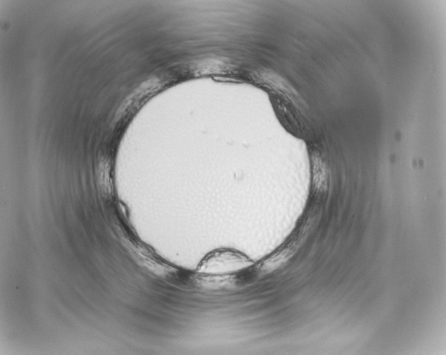 X0000070380670200607072155