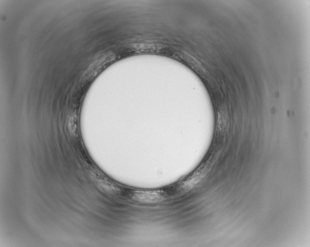 X0000070380671200607072155