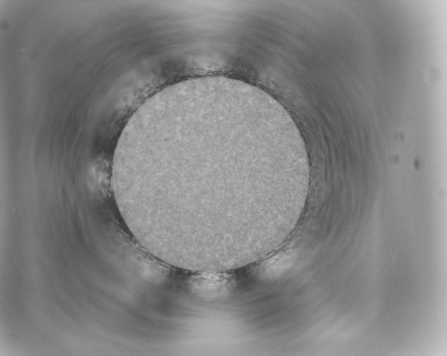 X0000070380672200607072155