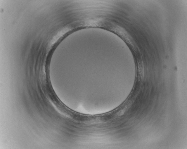 X0000070380674200607072154