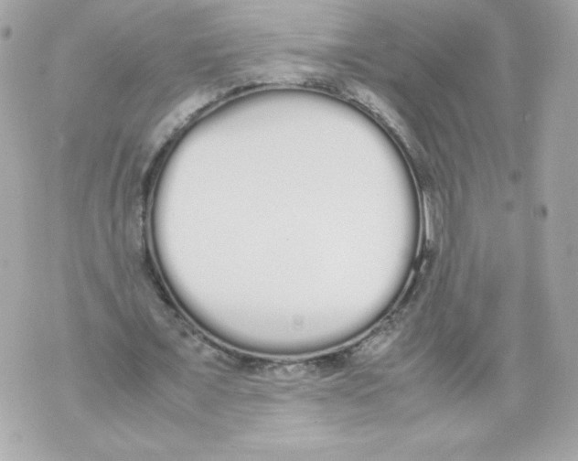 X0000070380675200607072154