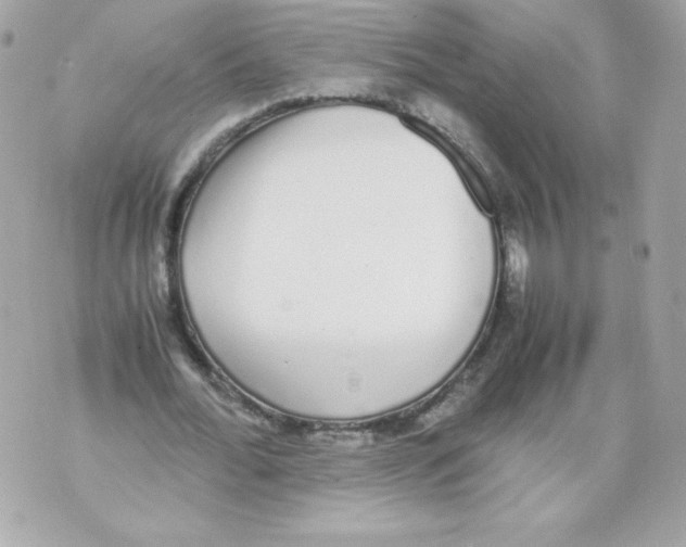 X0000070380676200607072154