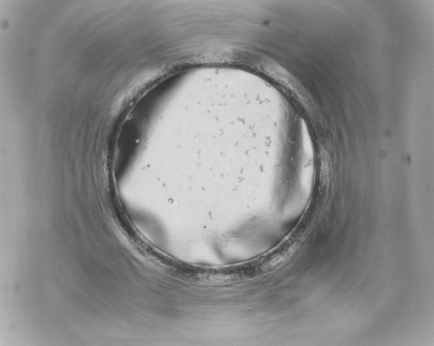 X0000070380677200607072154