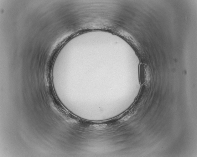 X0000070380680200607072154