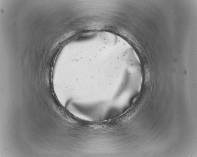 X0000070380681200607072154