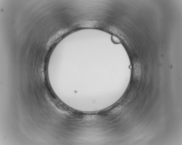 X0000070380682200607072154