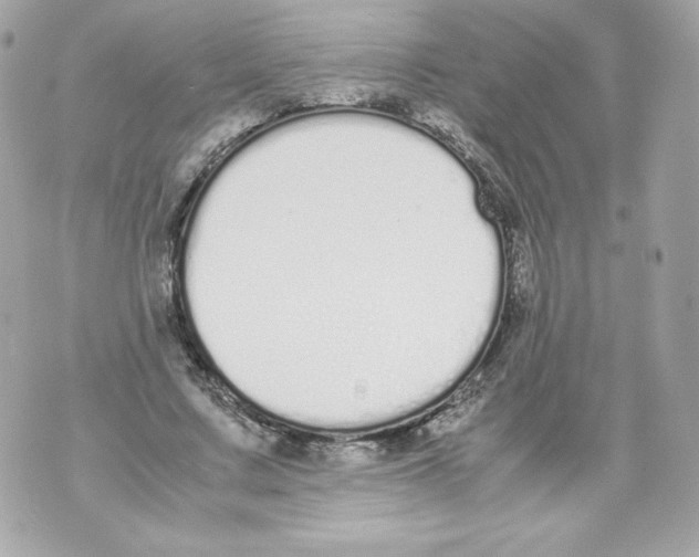 X0000070380683200607072154