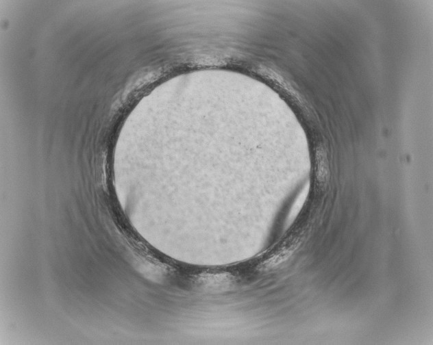 X0000070380685200607072154