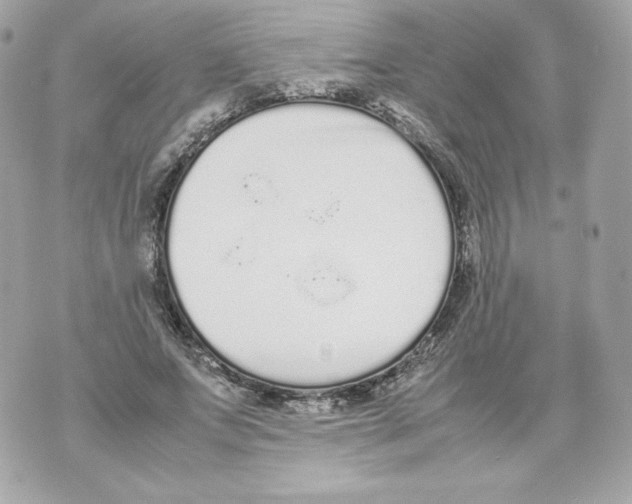 X0000070380687200607072154