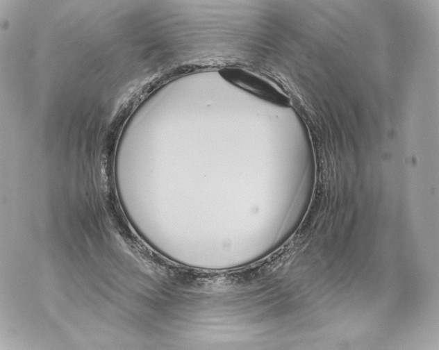 X0000070380688200607072154