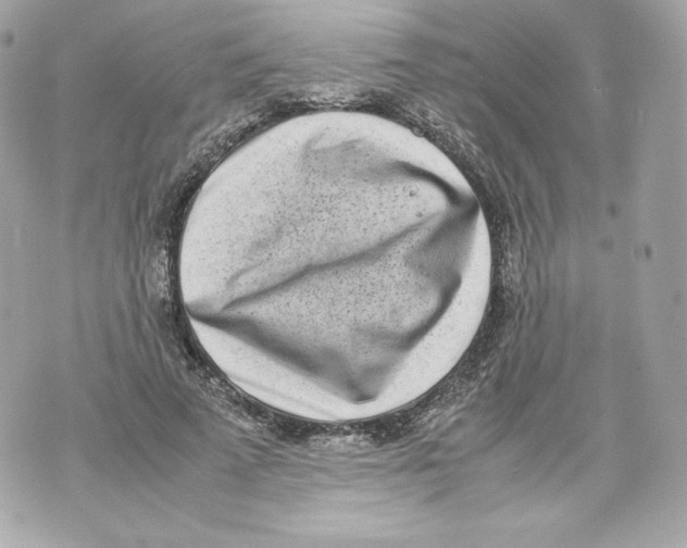 X0000070380689200607072154