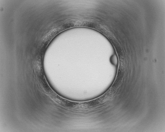 X0000070380691200607072154