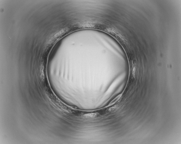 X0000070380692200607072154