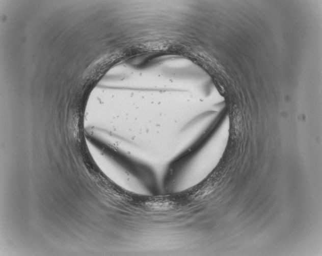 X0000070380693200607072154