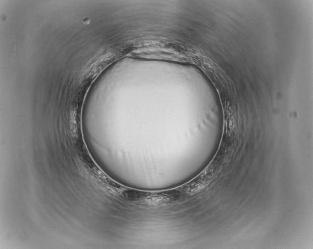 X0000070380696200607072154