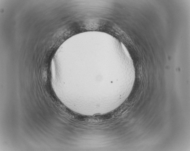 X0000070380697200607072154