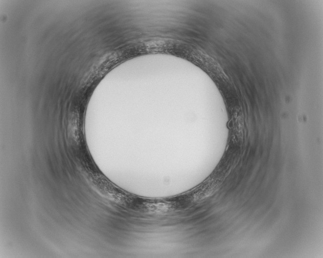 X0000070380698200607072154