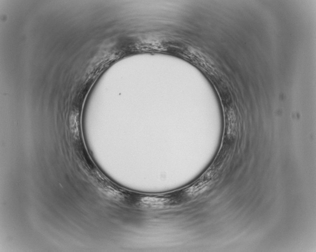 X0000070380699200607072154