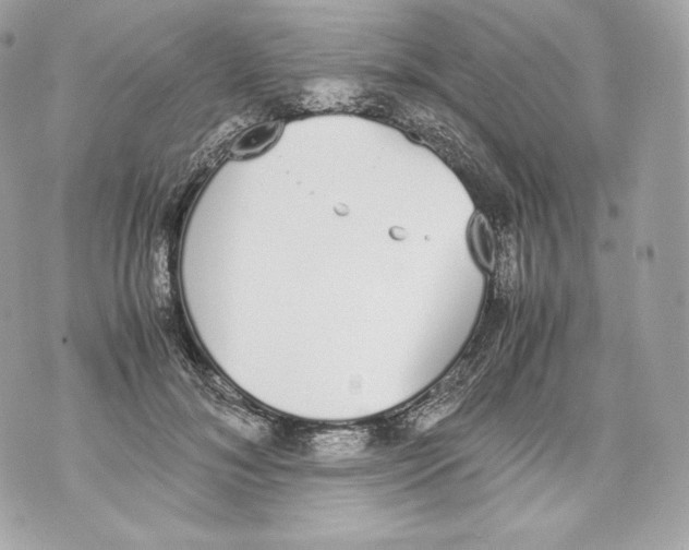 X0000070380700200607072154